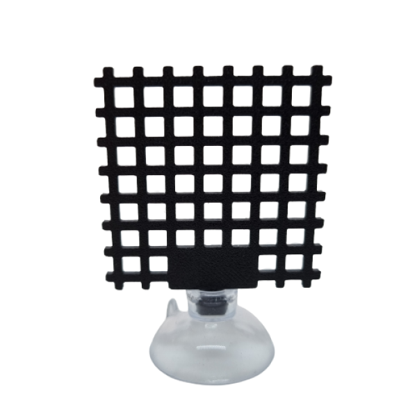 Moosgitter, Moos, Aquascaping, Spiky Moos, Creeping, Javafarn, Java Moos, Bucephelandra, Moosgitter, Gitter, Netz, Moosnetz